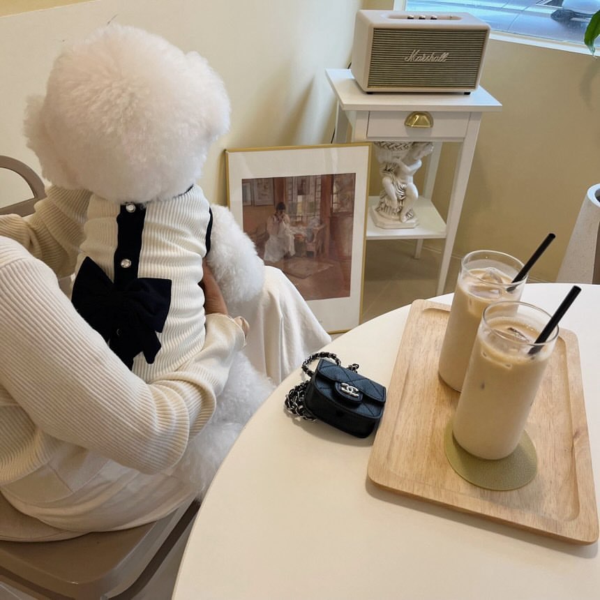 Bichon dog in Giselle suit white at café table back view – Malpetit