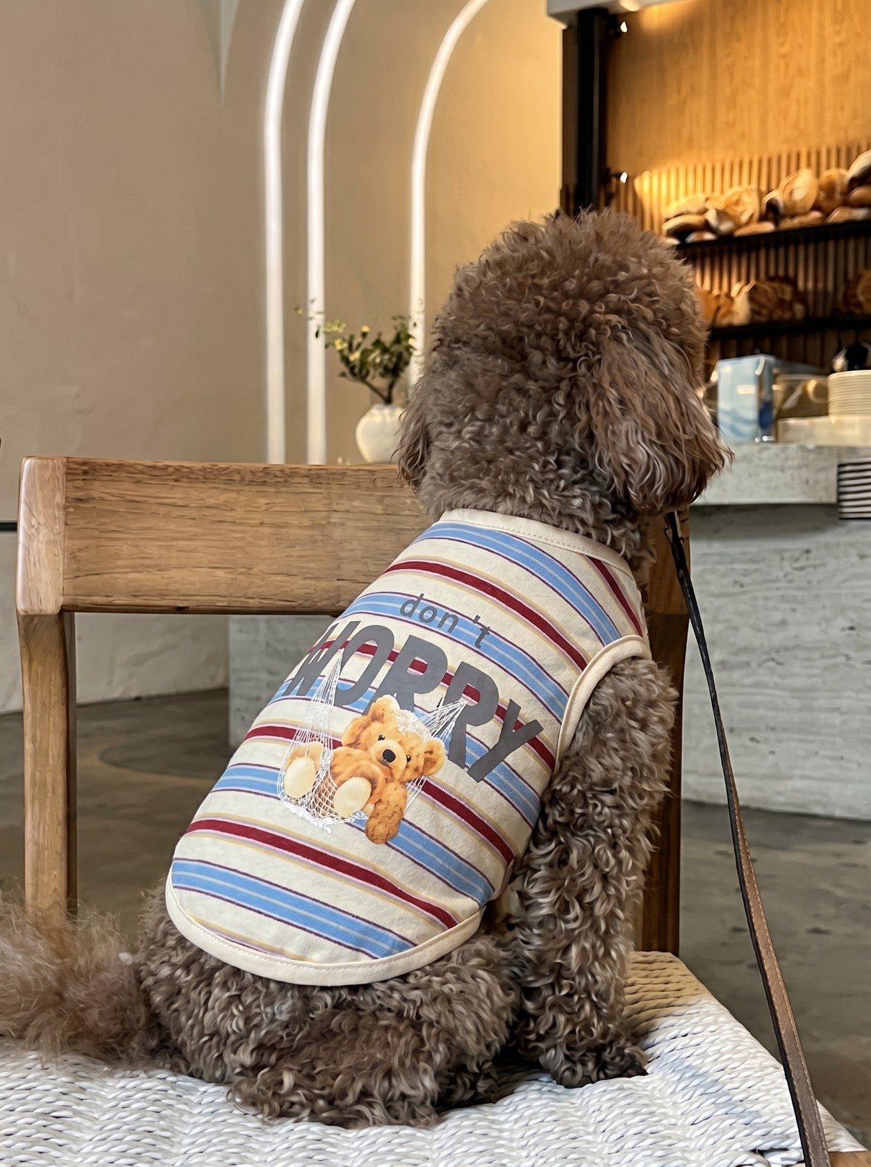 Chill Guy dog t-shirt in red on small dog – Malpetit