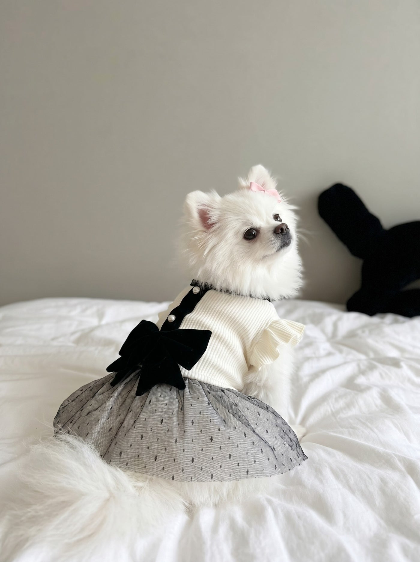 Side view of small dog in Giselle dress white – Malpetit