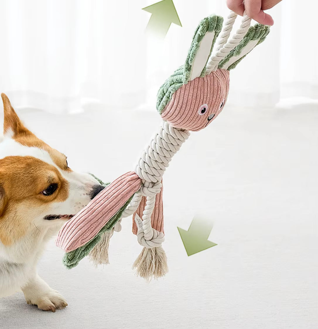 Corgi tugging large squeaky rope toy with owner – Malpetit