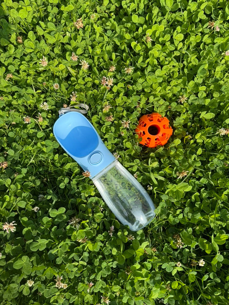 Portable Pet Water Bottle with Bowl Dispenser 450ml – BPA Free