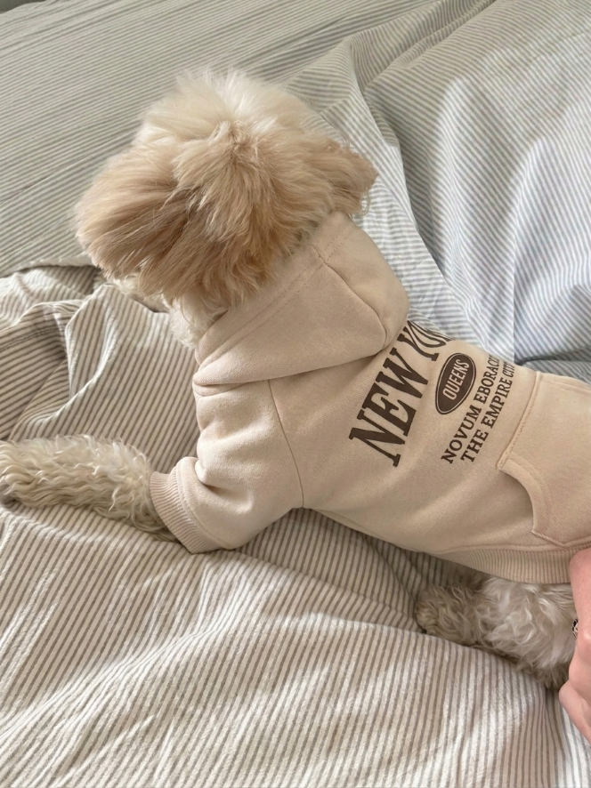 NY dog hoodie in beige on small dog – Malpetit
