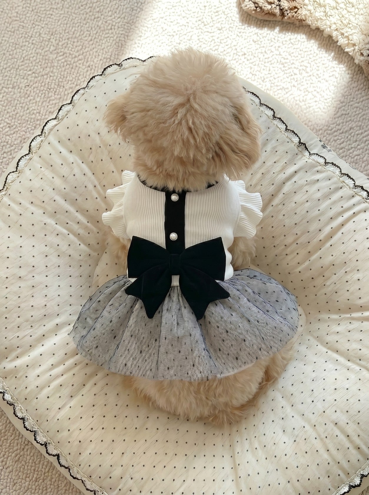 Giselle dog dress in white on small dog – Malpetit