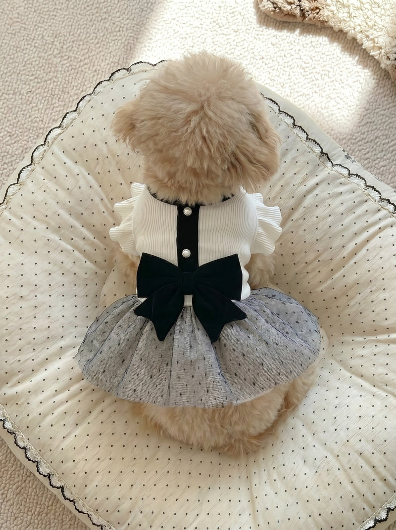 Giselle dog dress in white on small dog – Malpetit