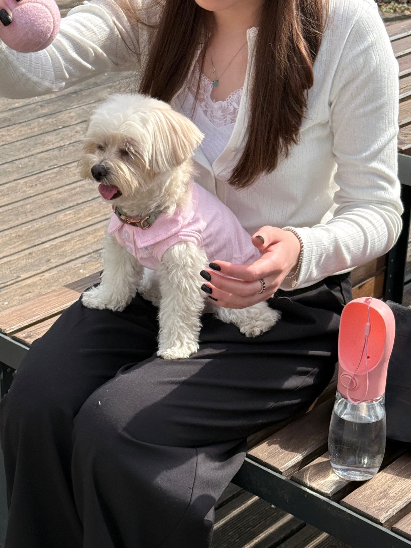 Small white dog sitting beside portable pink water bottle 450ml – Malpetit