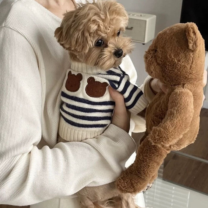 Paddi Dog Sweater – Navy Blue