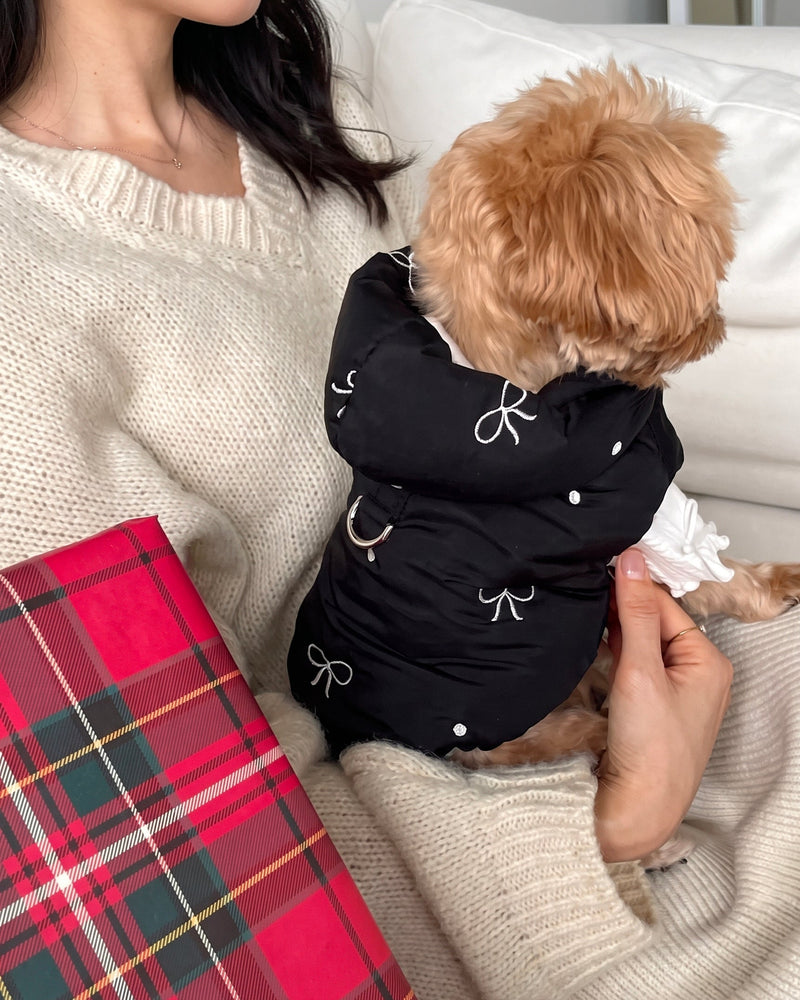 Dog on a lap in the BowBow black padded dog gilet, back view with embroidered bows and D-ring - Malpetit