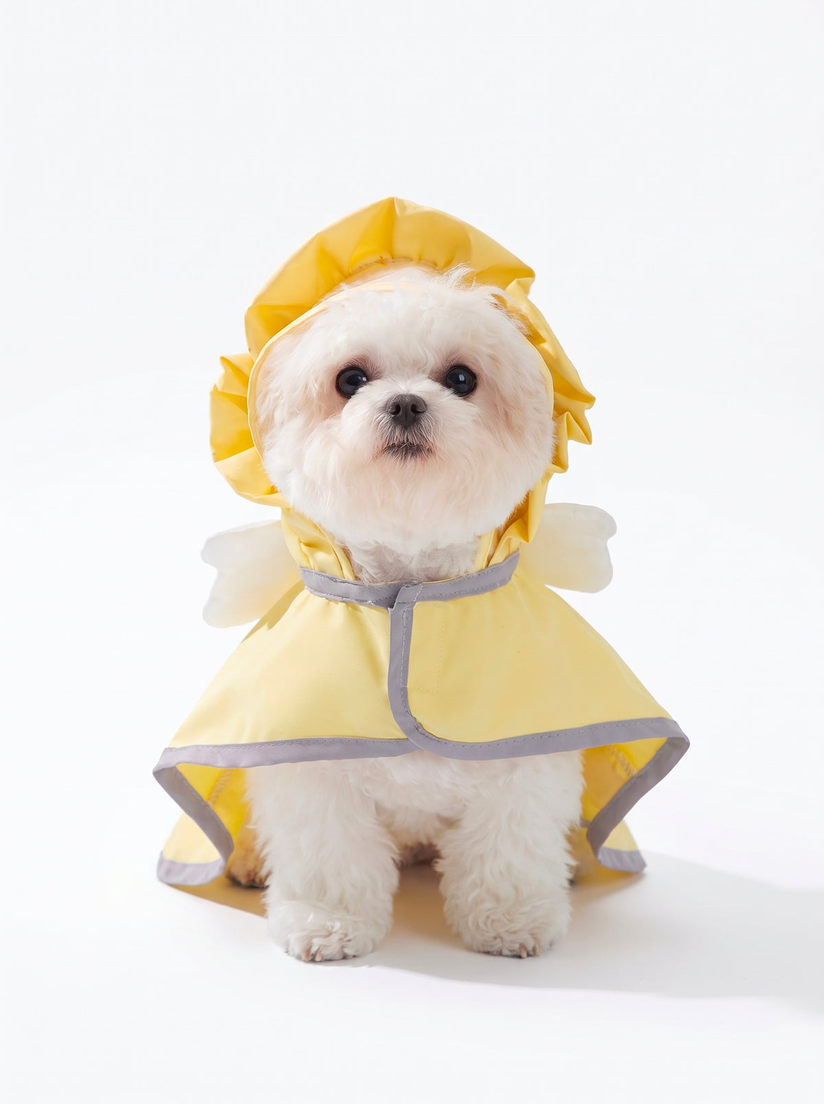 Bichon sitting in the Angel Drops yellow hooded dog raincoat, front view with ruffled hood and velcro cape - Malpetit