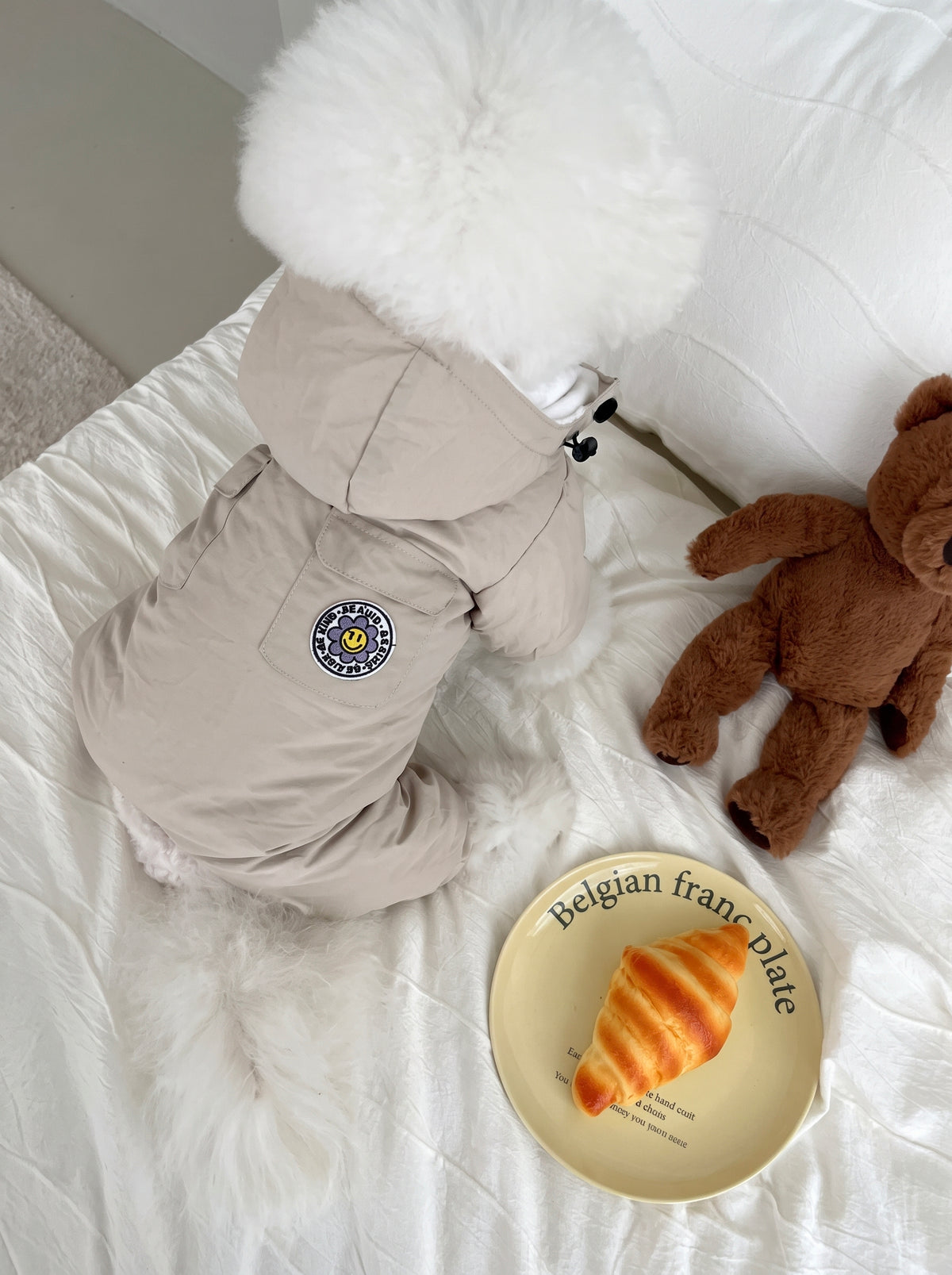 Bichon on a bed in the Après beige hooded dog puffer suit, back view with flap pocket and smiley flower patch - Malpetit