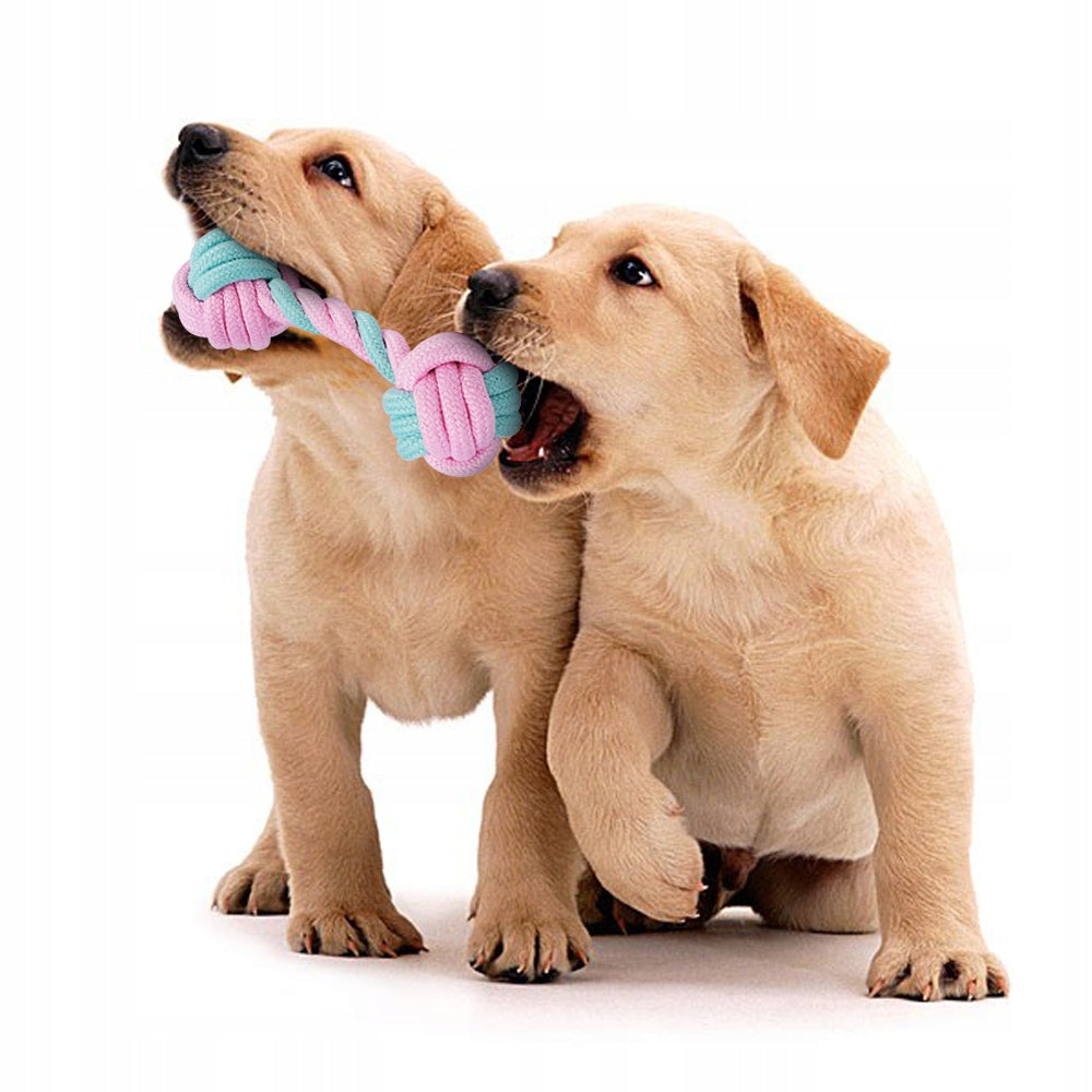 Two puppies playing tug with a cotton rope dumbbell dog toy – Malpetit