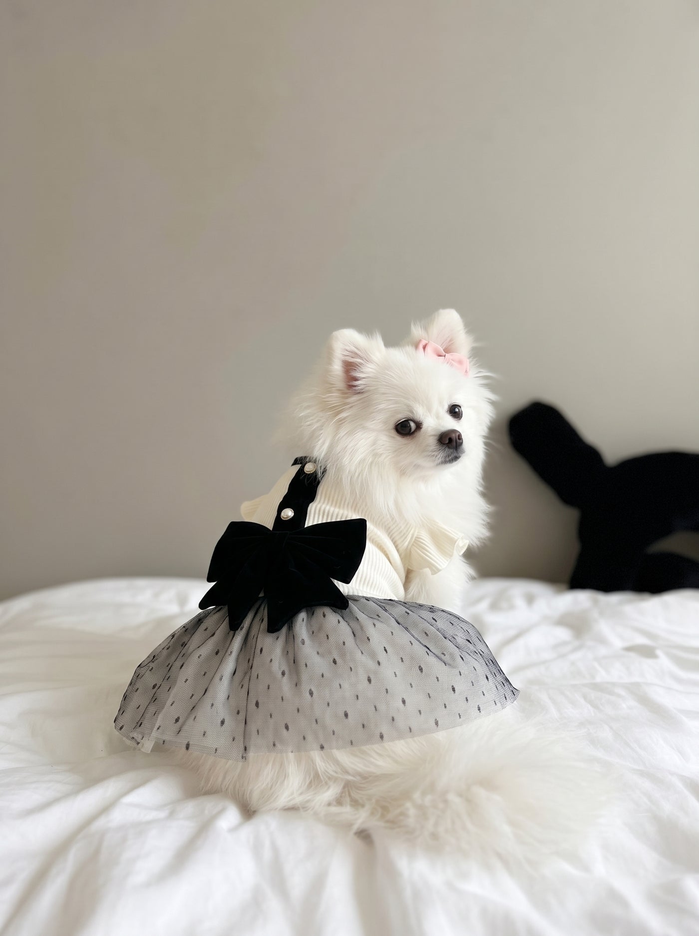 Small dog from behind in Giselle dress white – Malpetit
