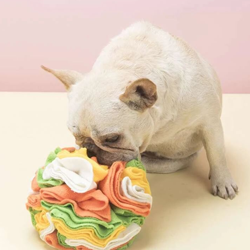 Small dog playing with Snuffle activity ball – Malpetit