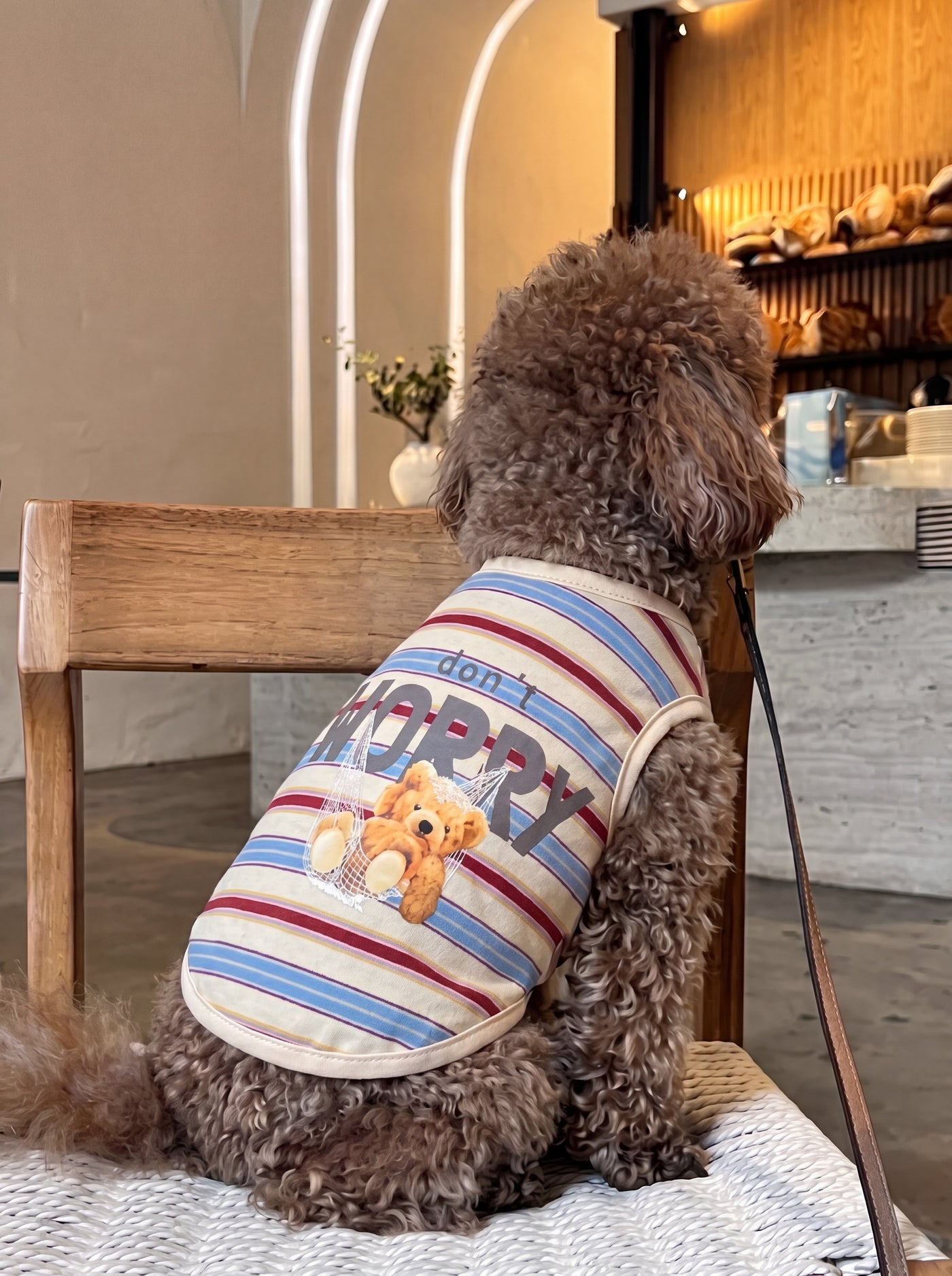 Chill Guy dog t-shirt in red on small dog – Malpetit