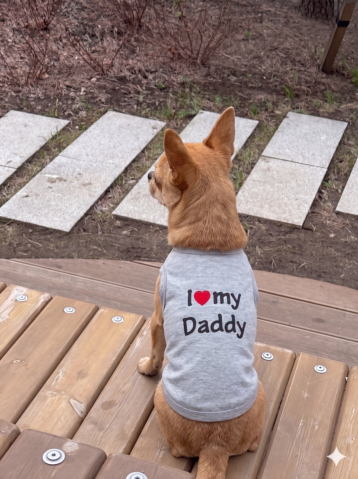 Small dog from behind in I love my Daddy dog t-shirt grey outdoors – Malpetit