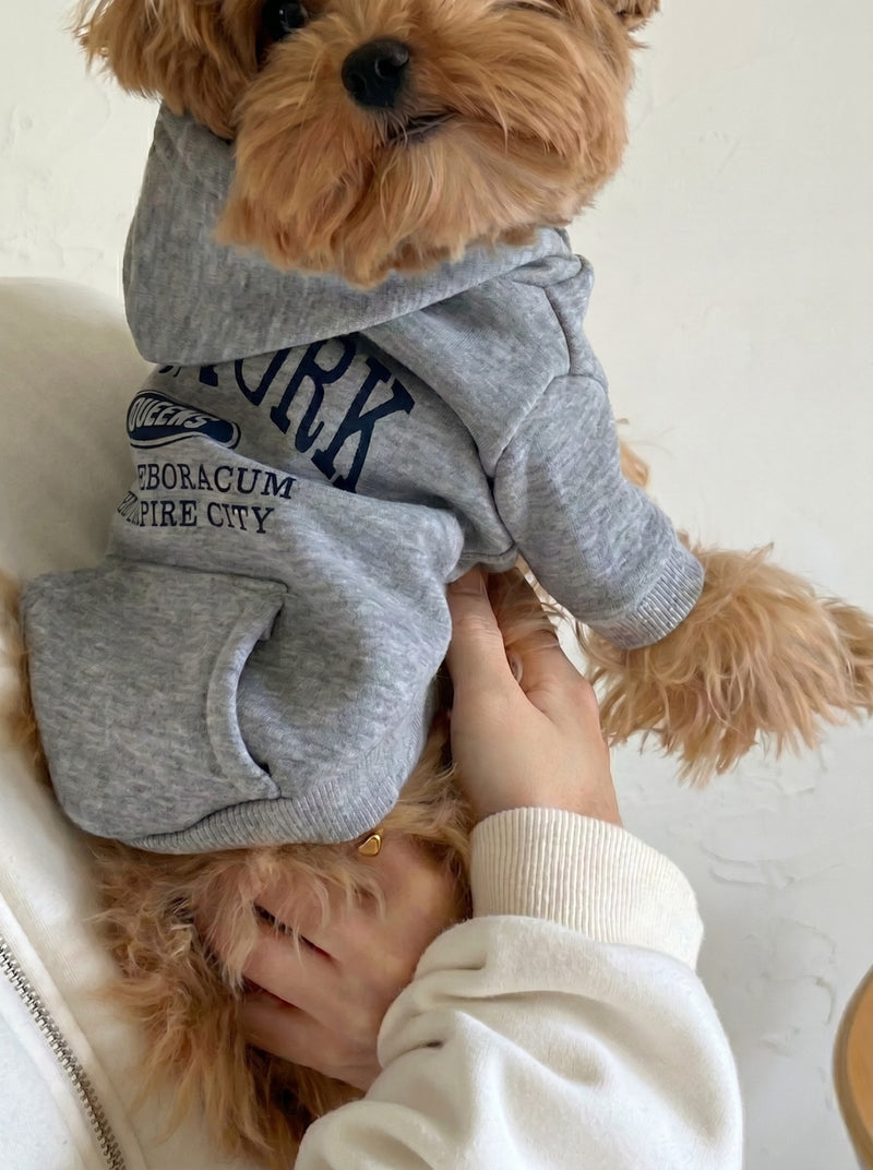 NY dog hoodie in grey on small dog – Malpetit
