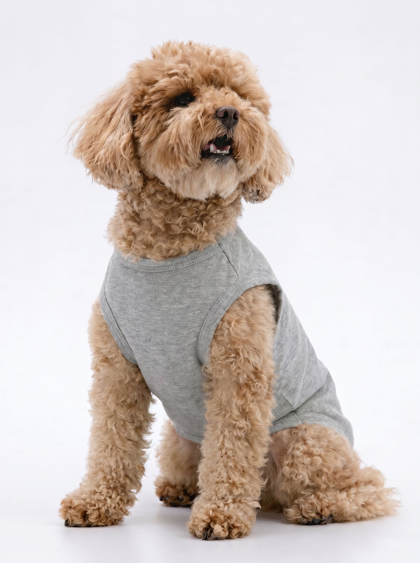 Brown poodle in I love my Mommy dog t-shirt grey front studio view – Malpetit