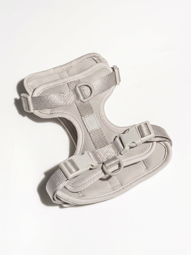 Adjustable padded dog harness in grey – Malpetit