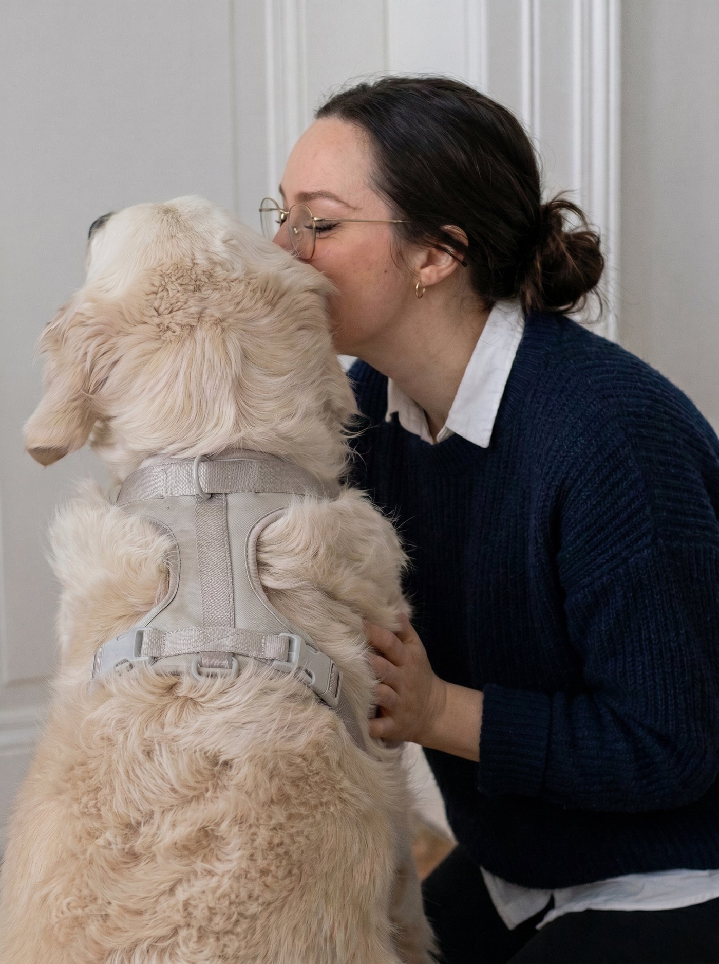 Owner kissing fluffy dog wearing grey padded harness – Malpetit