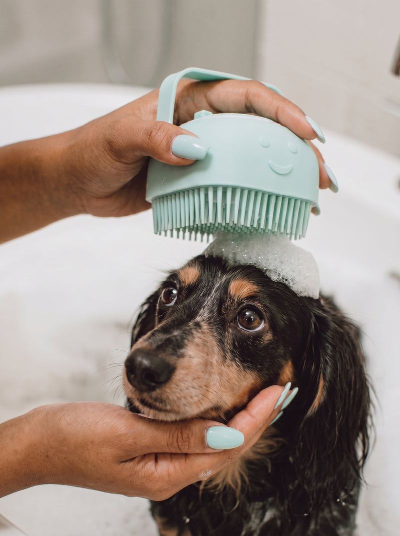 Silicone bath brush with shampoo dispenser for dogs – Malpetit