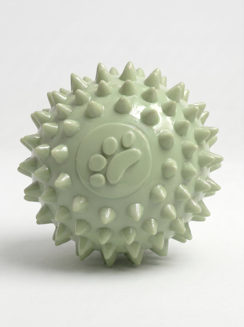 Spiky dental ball for dogs – Malpetit