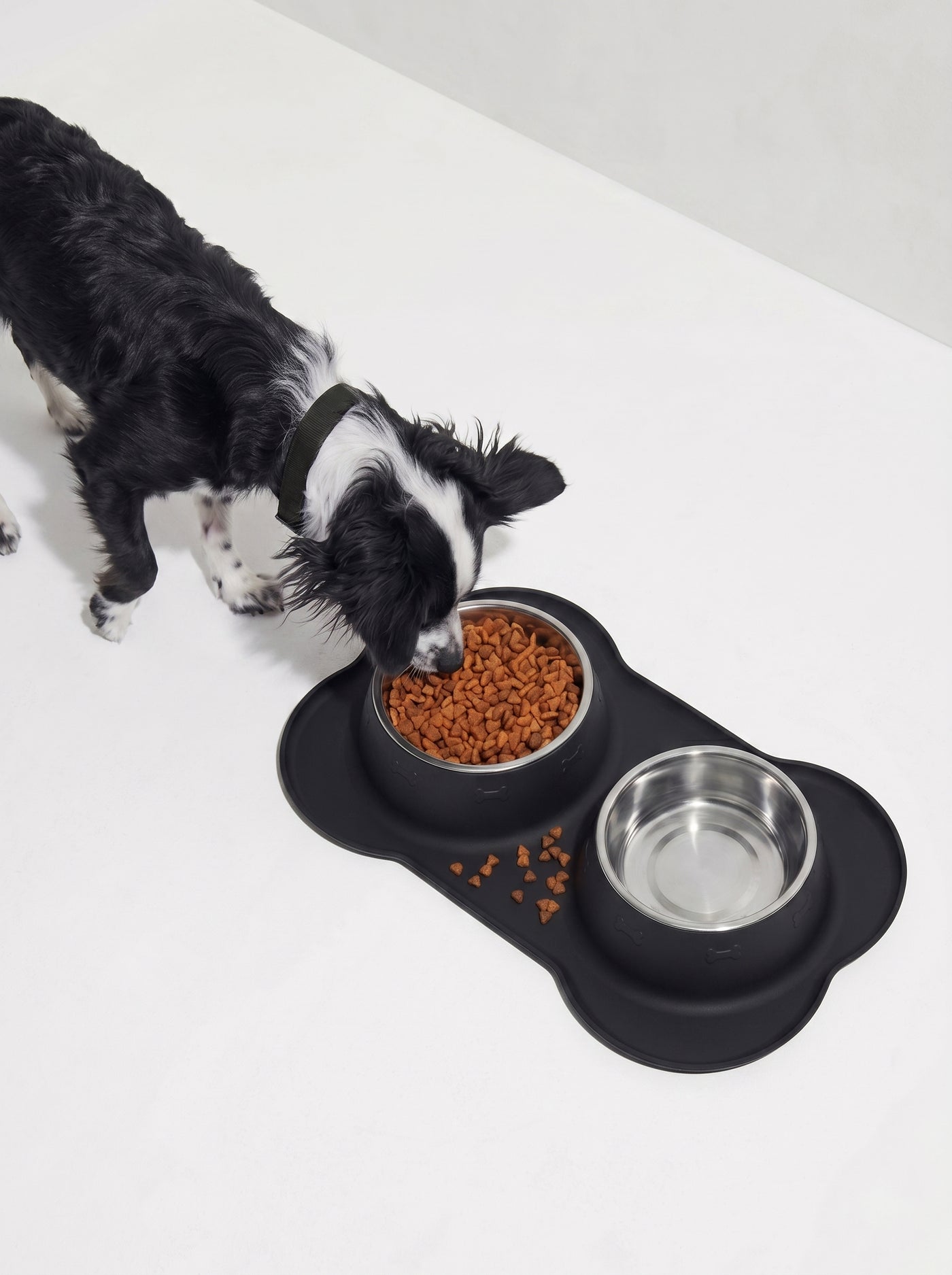 Small dog eating from black double travel bowl set – Malpetit
