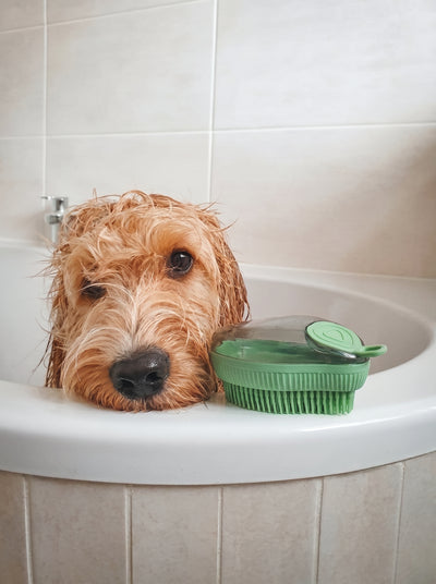 Soft massage bath brush with shampoo dispenser for dogs – Malpetit