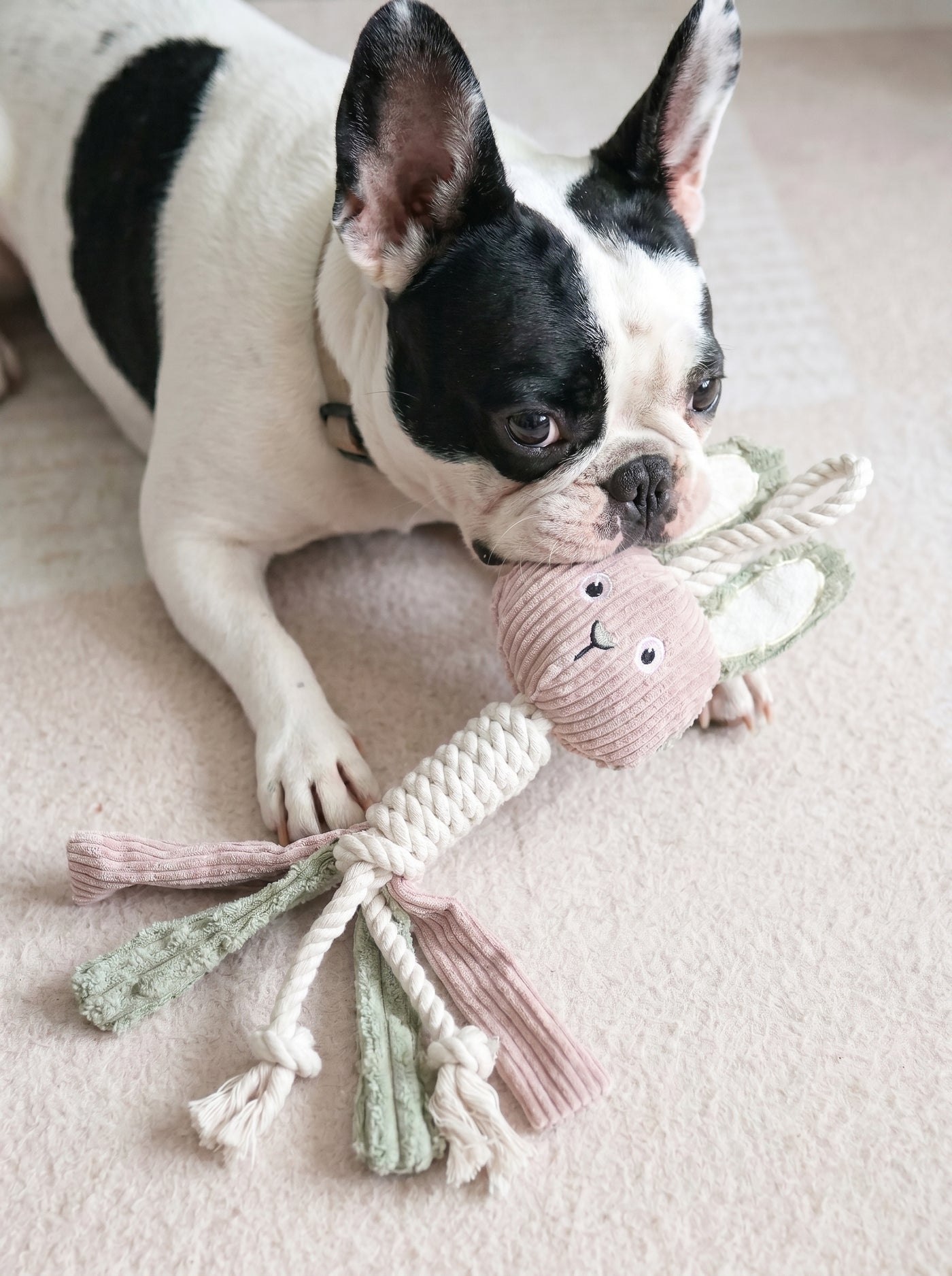 Large Squeaky Rope Dog Toy