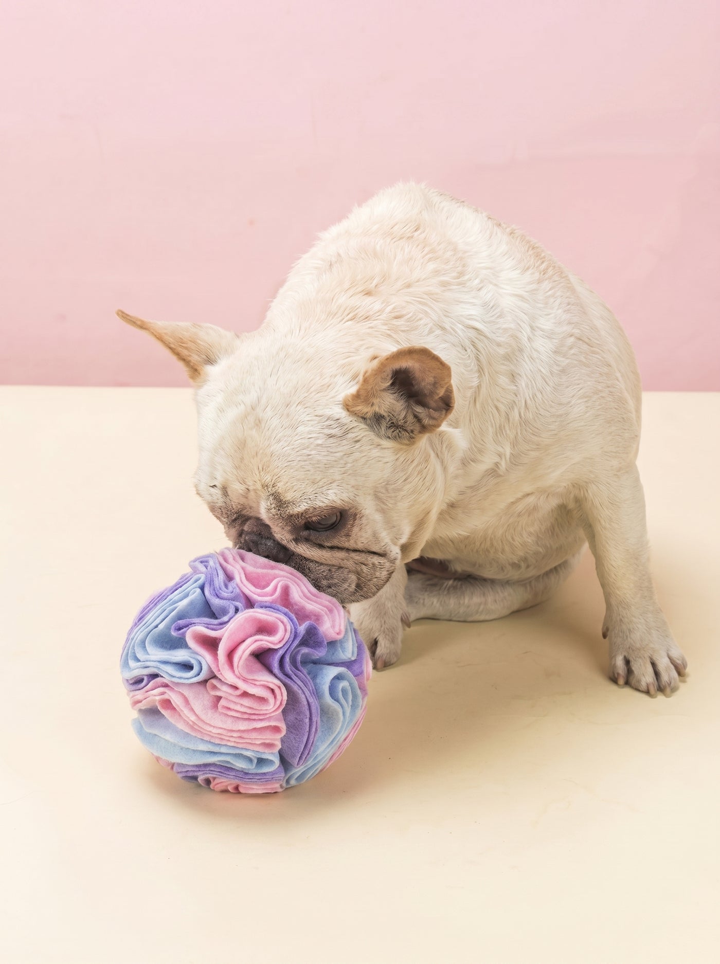 Snuffle Activity Ball for Dogs