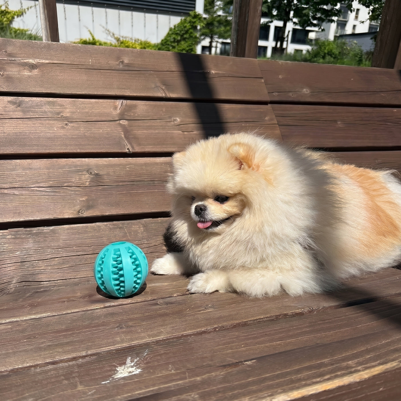 Treat-Dispensing Ball Dog Toy