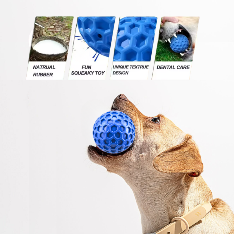 Durable squeaky rubber ball features and benefits – Malpetit