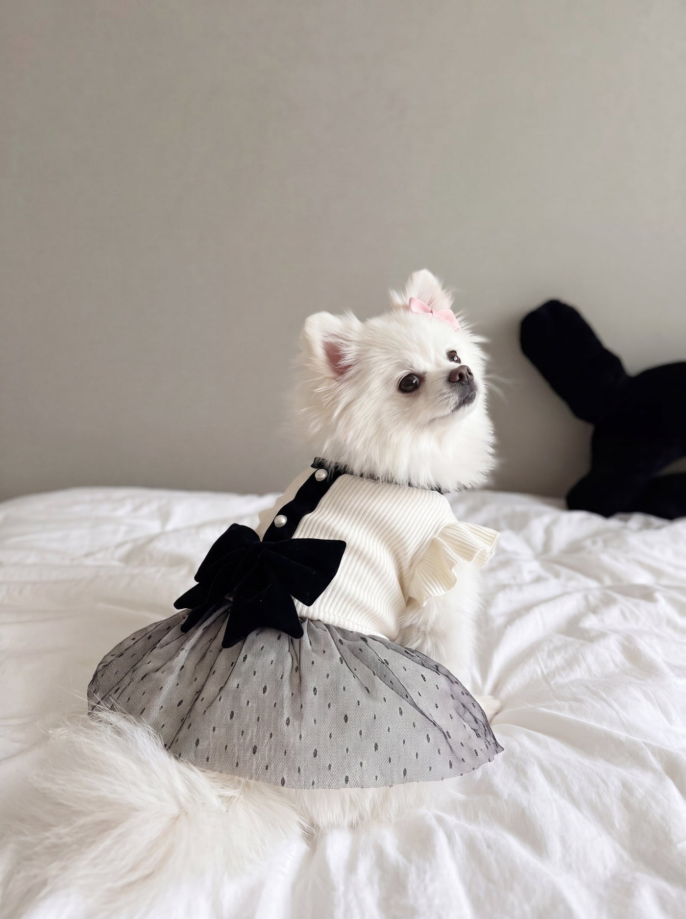 Side view of small dog in Giselle dress white – Malpetit