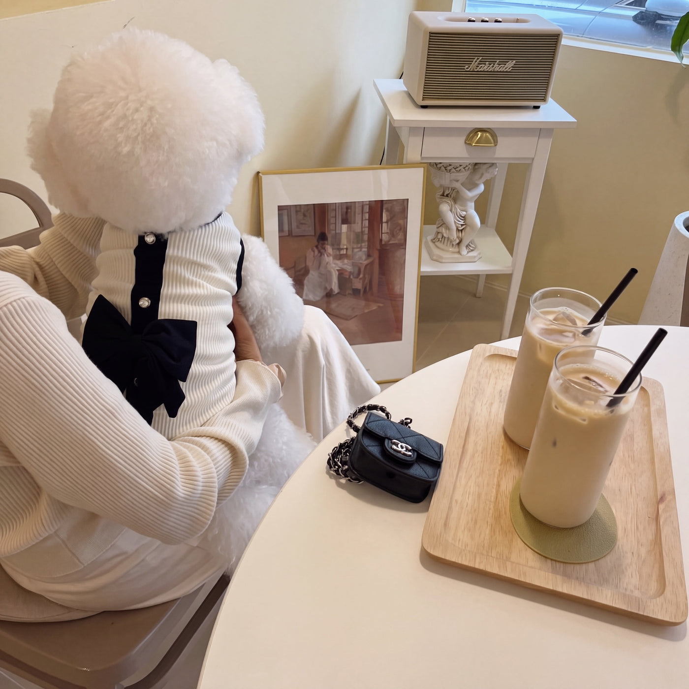 Bichon dog in Giselle suit white at café table back view – Malpetit