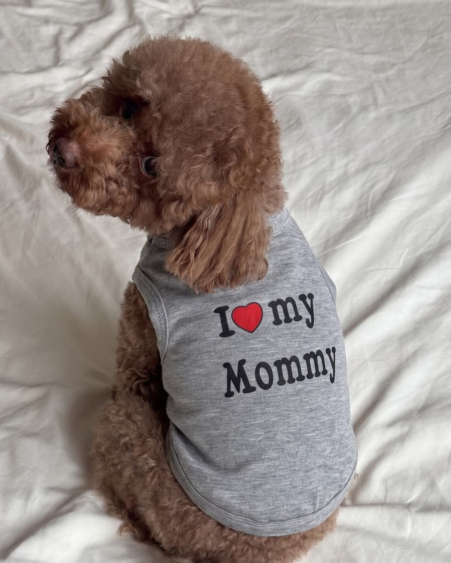 A small poodle wearing Malpetit's I Love My Mommy grey dog t-shirt