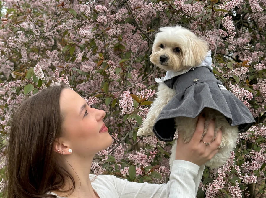 A woman holding a small white dog in the Miu Paw grey dress by Malpetit