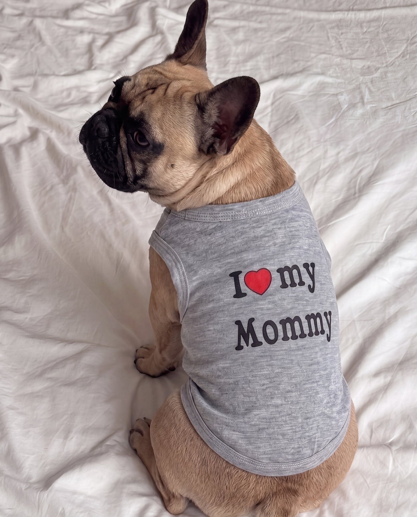 French bulldog in I love my Mommy dog t-shirt grey on bed – Malpetit