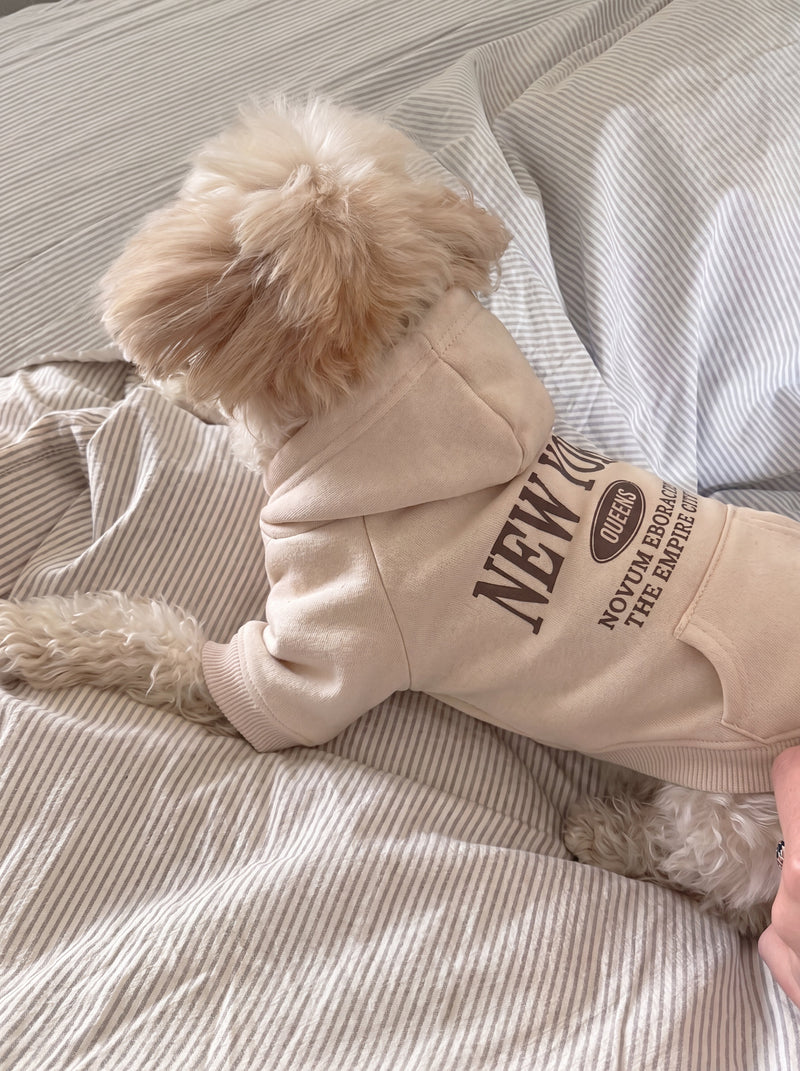 NY dog hoodie in beige on small dog – Malpetit
