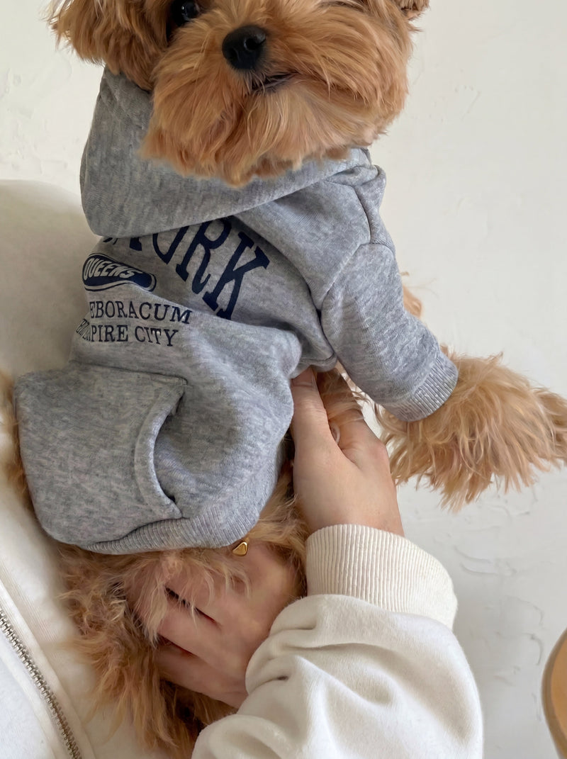 NY dog hoodie in grey on small dog – Malpetit