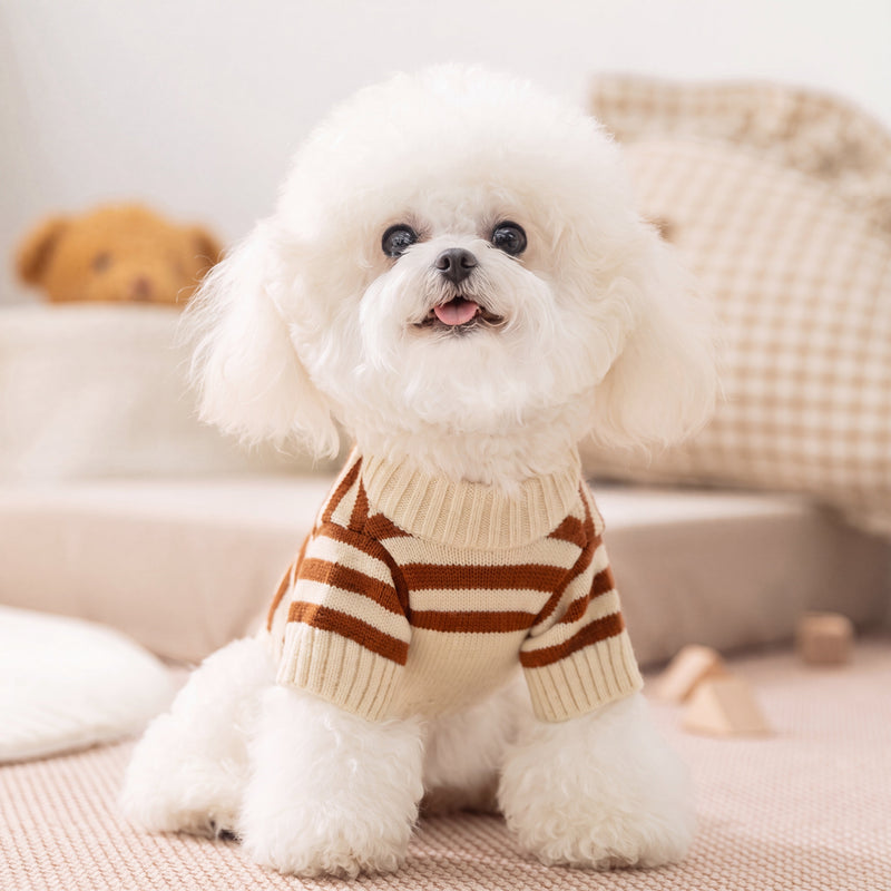 Paddi dog sweater in navy blue stripes on small dog – Malpetit