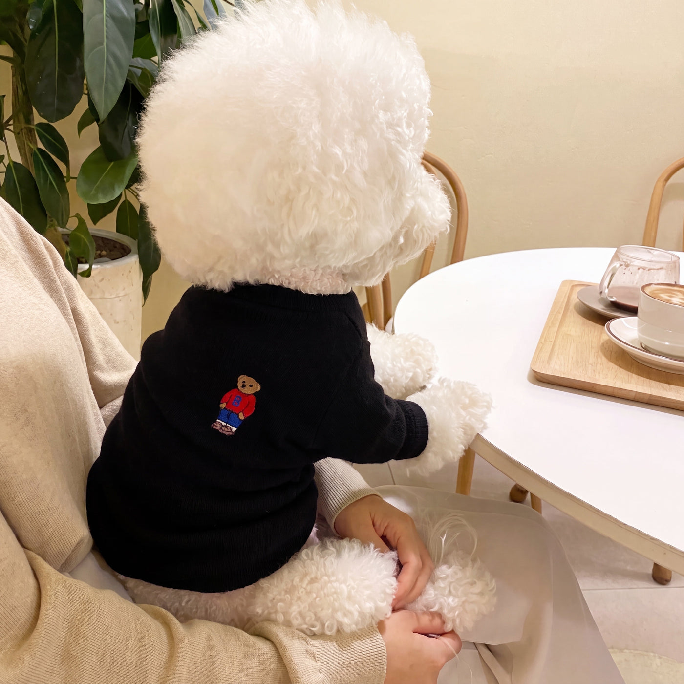 Small dog from behind in Sunday polo sweater black at café – Malpetit