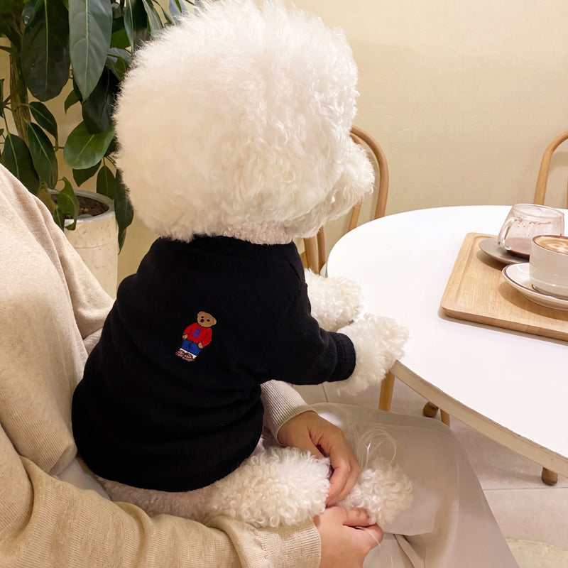 Small dog from behind in Sunday polo sweater black at café – Malpetit